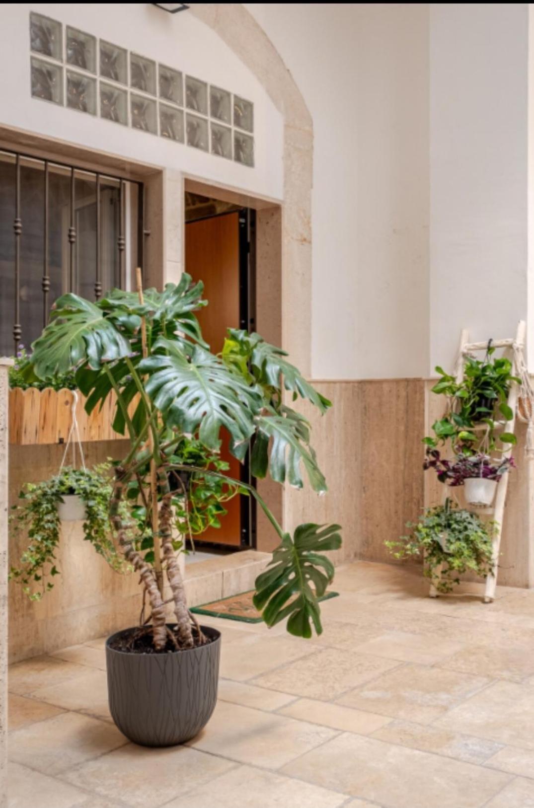 Lullaby Room Bari Exterior foto